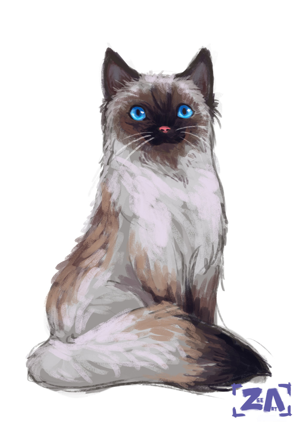 1024x1448 Ragdoll Cat By Zlynn