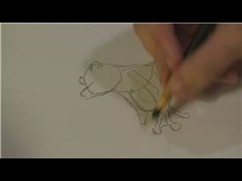 480x360 How To Draw Animals How To Draw Tropical Rain Forest Animals