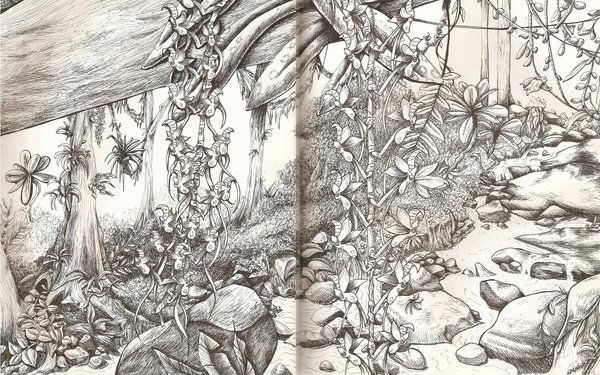 600x375 Rainforest Pencil Drawing