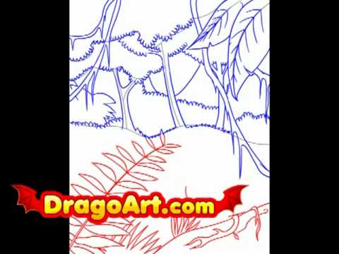 480x360 How To Draw A Rainforest, Step By Step