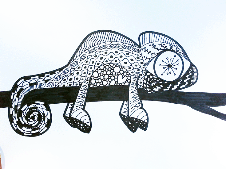 735x551 Kids' Crafts Zentangle Chameleons, Rainforest Crafts And Art
