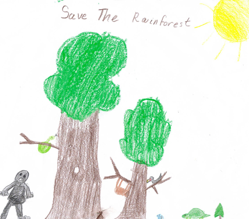 500x441 Kids Saving The Rainforest