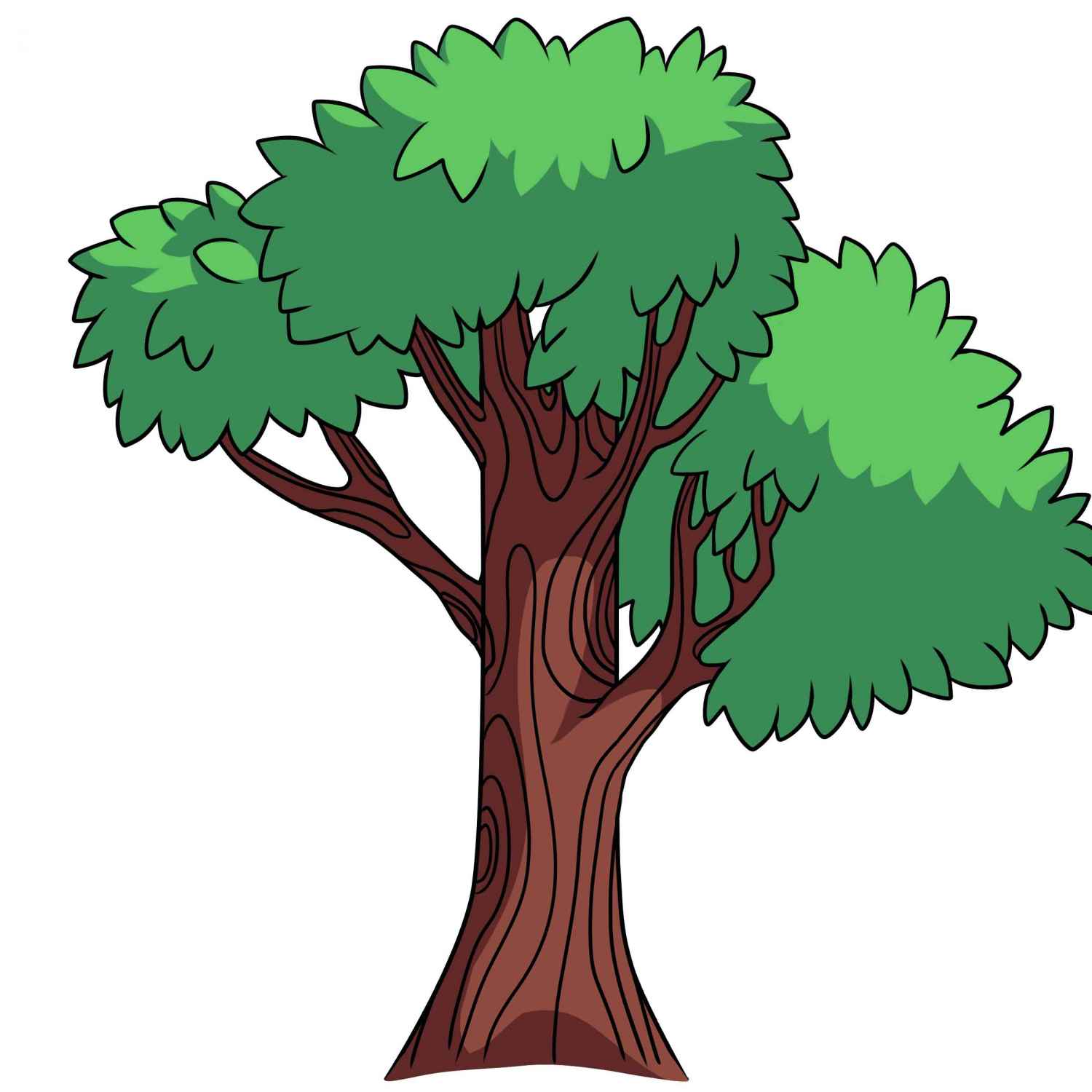 Cartoon Jungle Trees - Clipart Tree Palm Jungle Trees Cartoon Vector ...