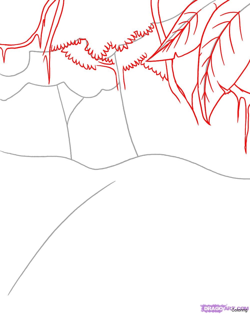 1000x1254 How To Draw Rainforest Trees L 18acfe51be6fa8a5 A Coloring 20f