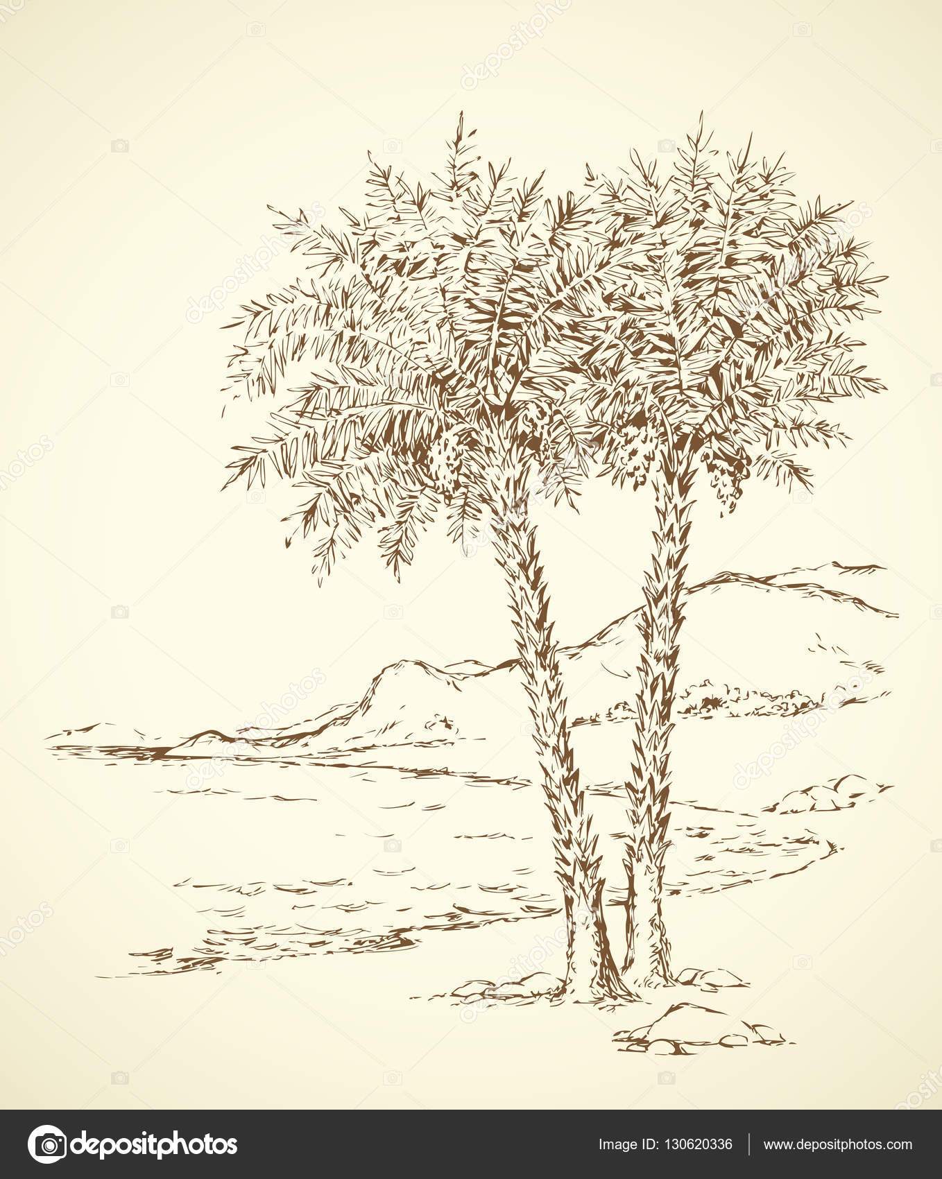 1358x1700 Palm Trees On The Beach. Vector Drawing Stock Vector Marinka