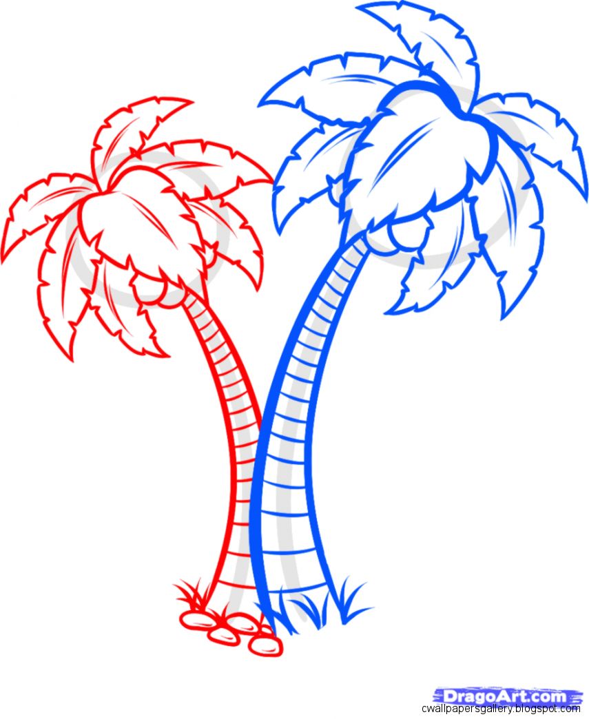 855x1044 Tropical Rainforest Trees Drawing Wallpapers Gallery