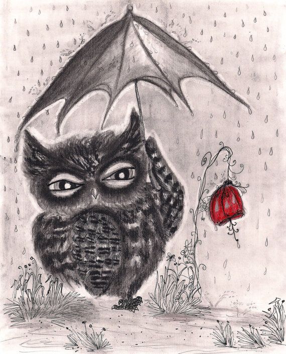 570x704 Owl In A Rainstorm 8x10 Original Charcoal Drawing By Inkydreamz