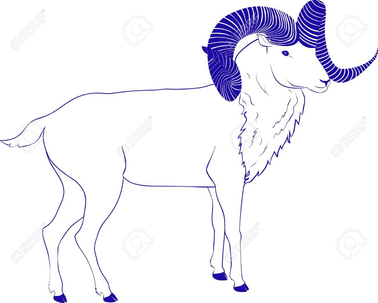 1300x1043 Sketch Goat Or Ram With Twisted Long Horn Royalty Free Cliparts