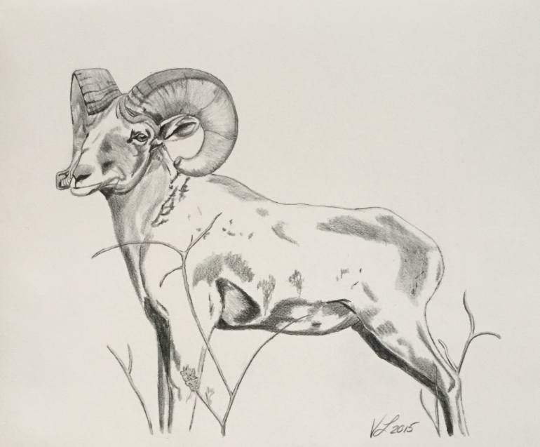 770x637 Saatchi Art Colorado Mountain Ram