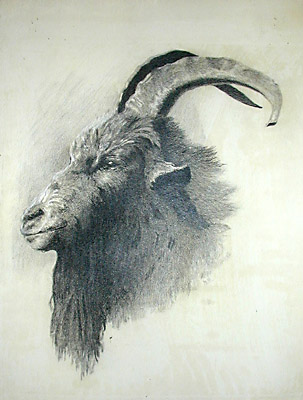 303x400 George Glazer Gallery