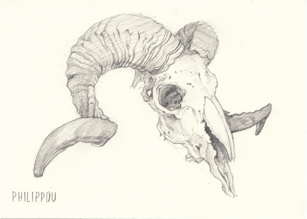 1000x714 Tony Philippou Kaledoskull Project Gallery Page Tony Philippou