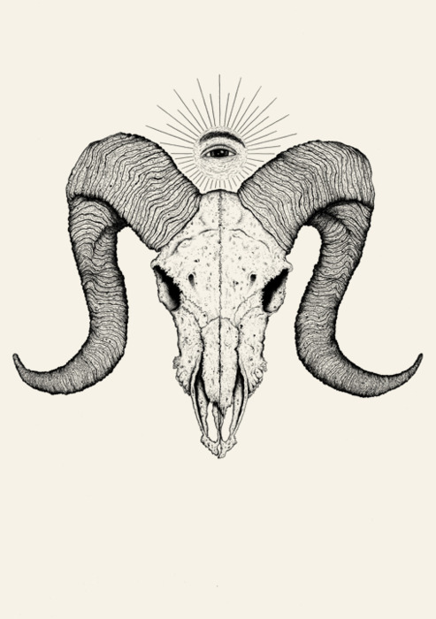 493x700 I Love Ram Skulls Dreamstate Ram Skull, Aries