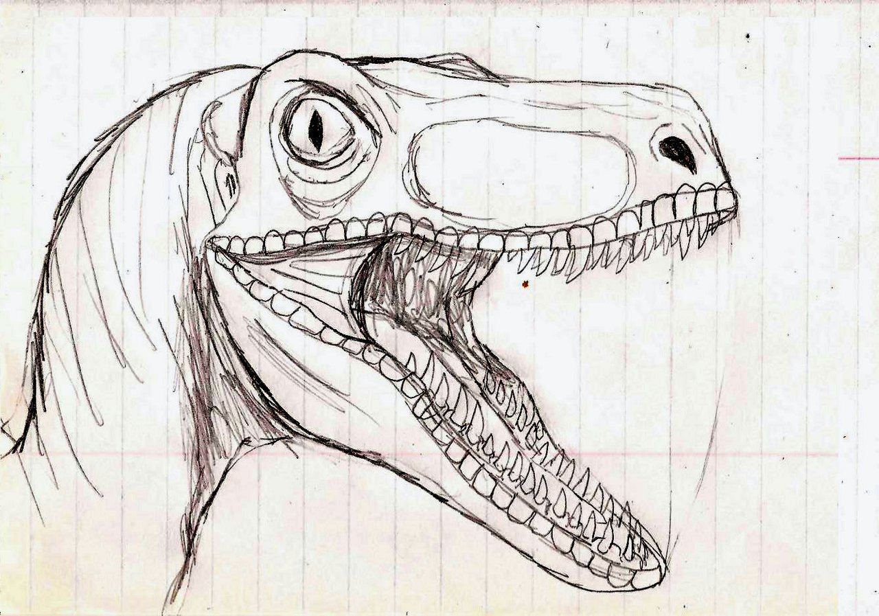 1280x897 Jurassic Park Raptor By On @