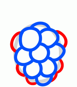 266x302 How To Draw How To Draw A Raspberry