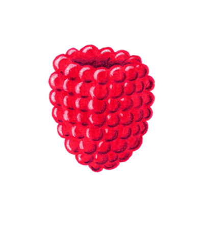 400x450 Raspberry Creativeliz
