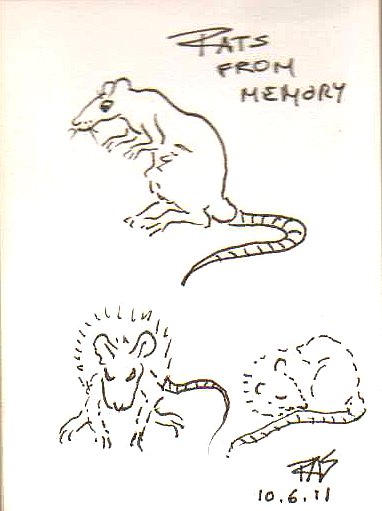 382x511 Rob's Art Lessons How To Draw A Cat