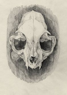 236x333 Eugene Tang (Jestereug)