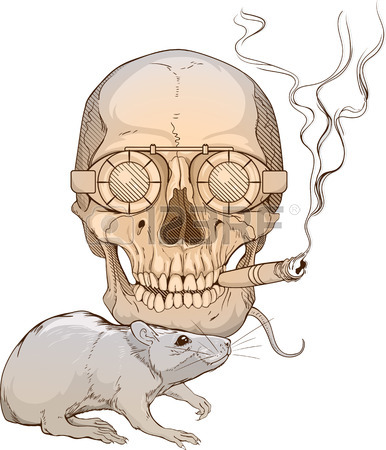 386x450 Skull Rat Stock Photos. Royalty Free Business Images