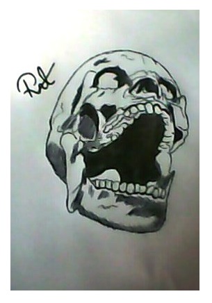 305x436 Agonia Meus Desenhos Rat Caveiras