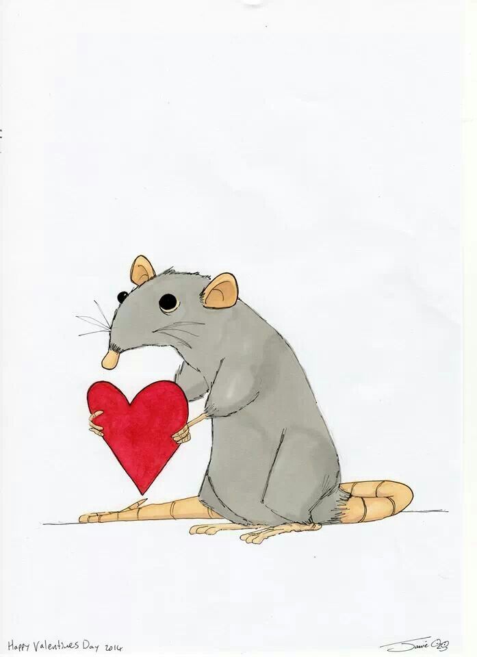 697x960 Pin By Stefni Rauch On Ratties