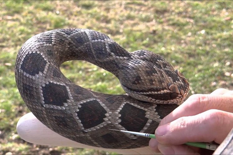 750x500 Realistic Wood Carved Rattlesnake Walking Stick Lost In Internet