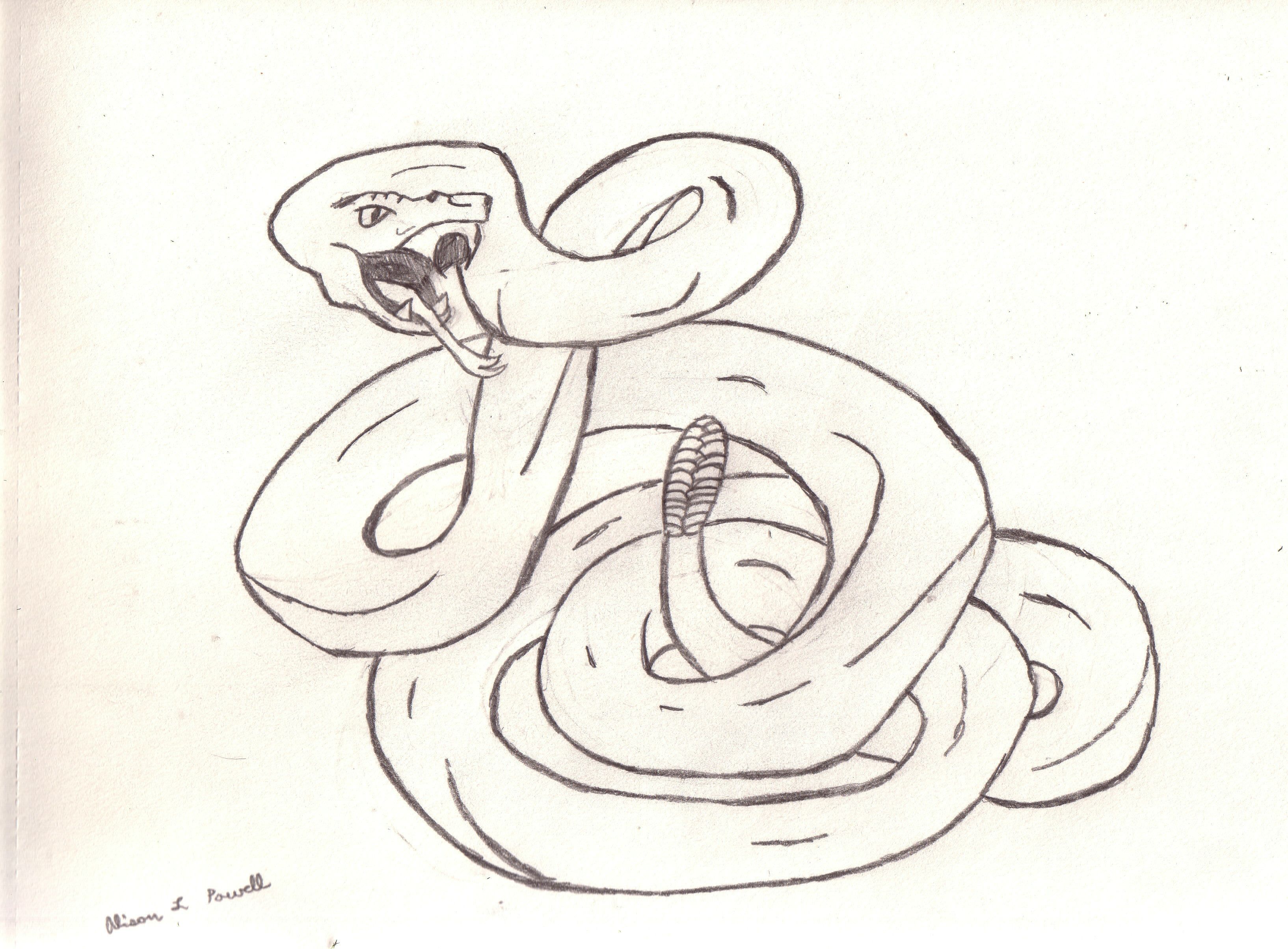 3268x2408 Rattlesnake Drawing