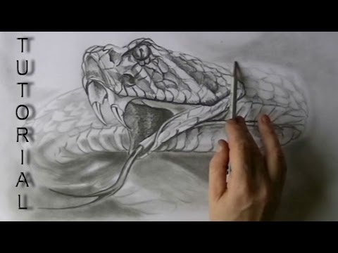 480x360 Rattle Snake Drawing In Graphite Pencil Easy Tutorial