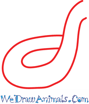 300x350 How To Draw A Rattlesnake