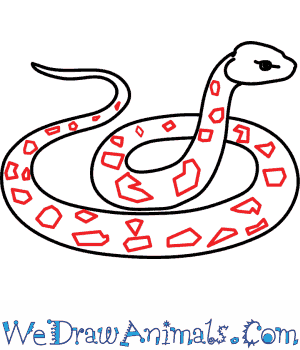 300x350 Rattlesnake 05.png