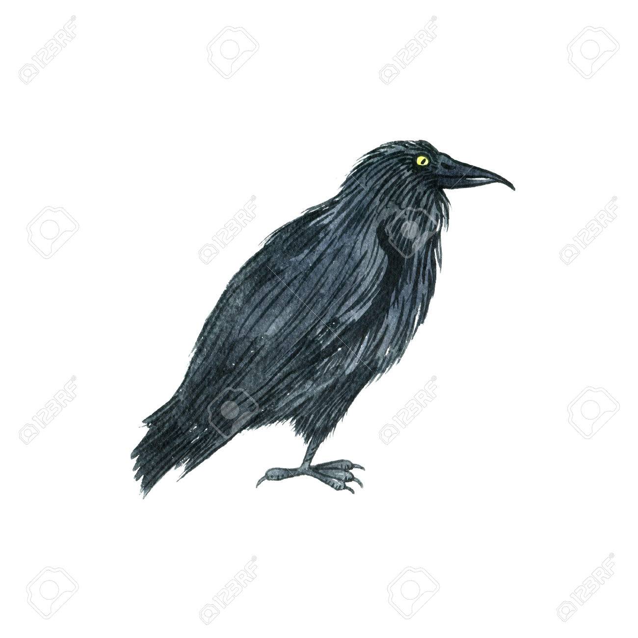 1300x1300 Watercolor Black Raven, Drawing Bird, Hand Drawn Illusration Stock