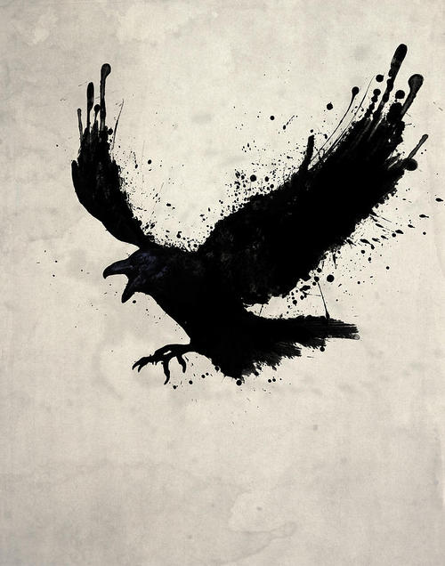 500x636 Raven By Nicklas Gustafsson