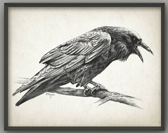 340x270 Raven Drawing Etsy