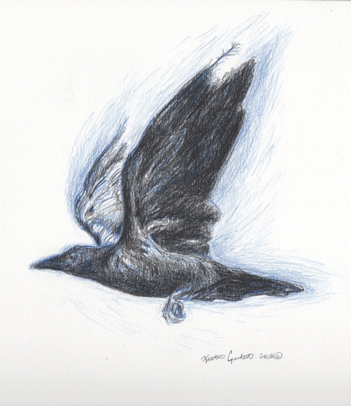 1210x1400 Raven In Flight Fourth Of A Art Series