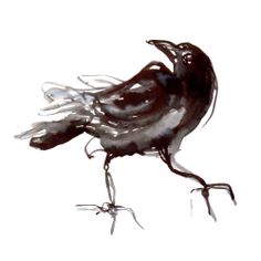 236x236 Raven Skull Sticker 3ampquot X 3ampquot Jeep Dreamin'