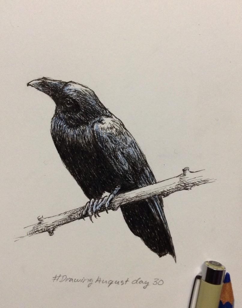 806x1024 Marika On Ravens And Drawings