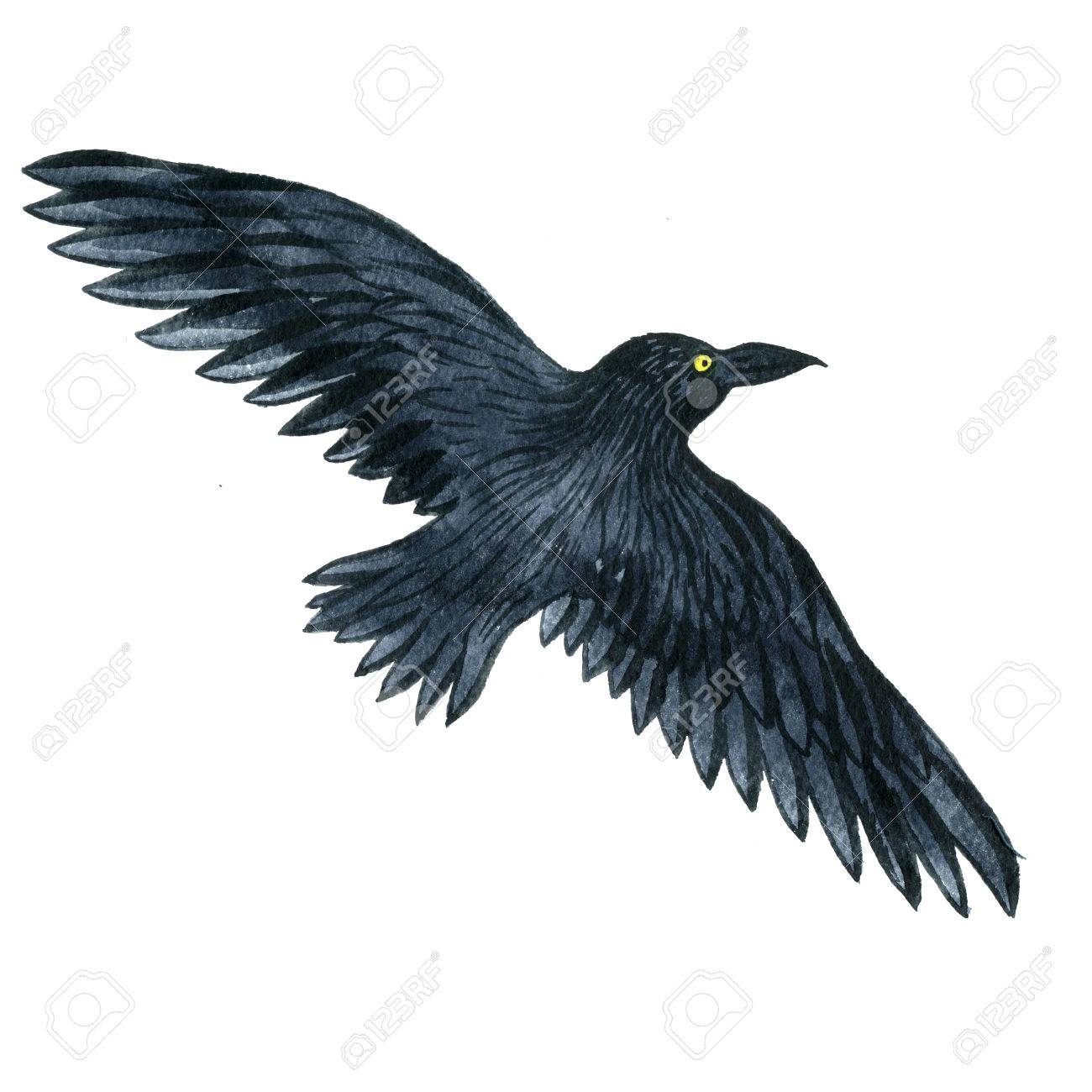 1300x1300 Watercolor Black Flying Raven, Drawing Bird, Hand Drawn
