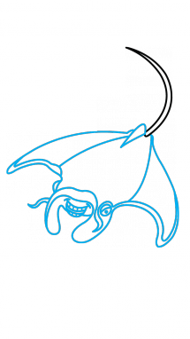 215x382 How To Draw A Manta Ray, Easy Step By Step Drawing Tutorial
