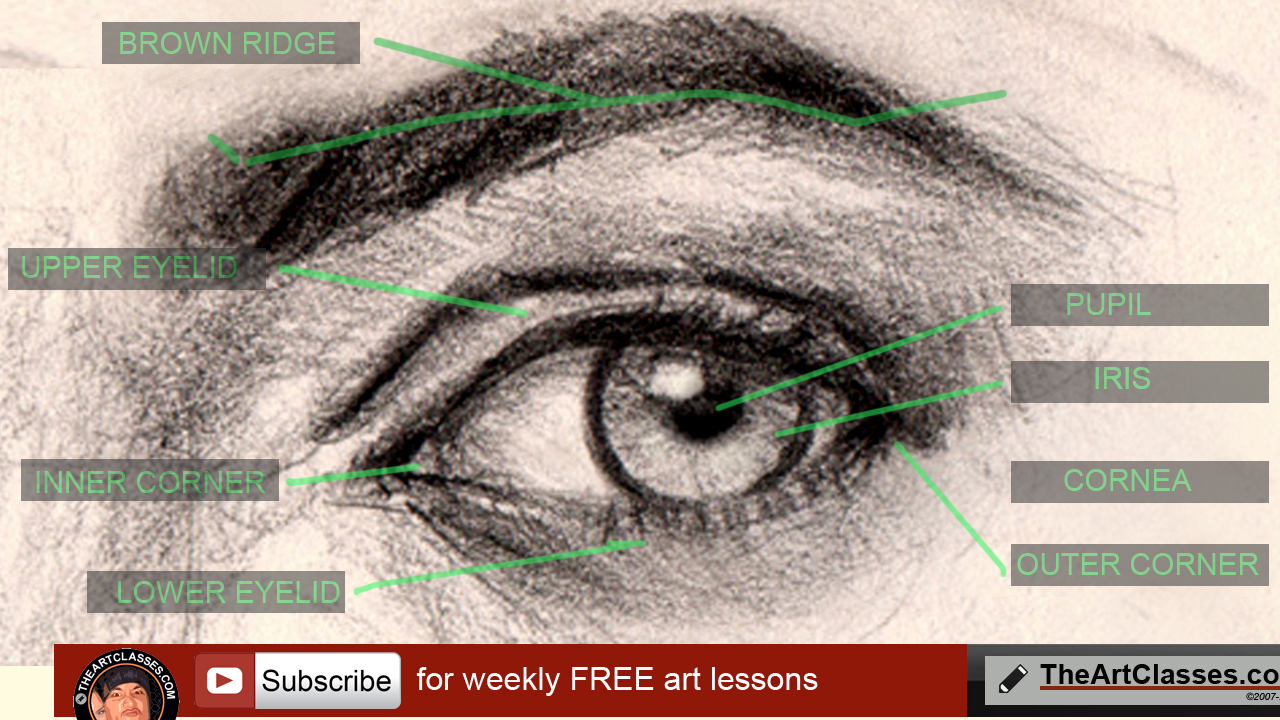 1280x720 How To Draw Eyes Structure And Anatomy