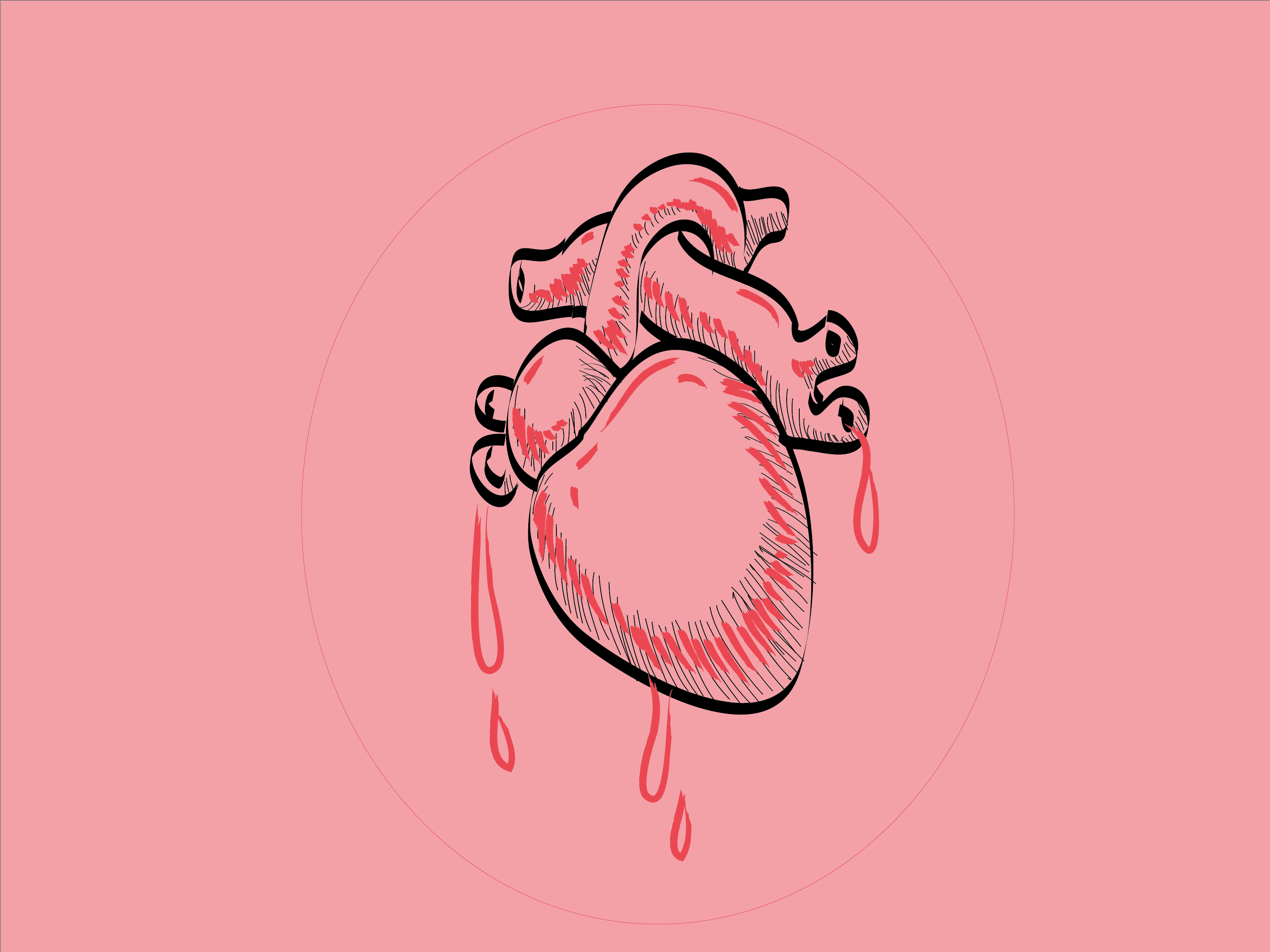 3200x2400 Drawing Of A Real Heart