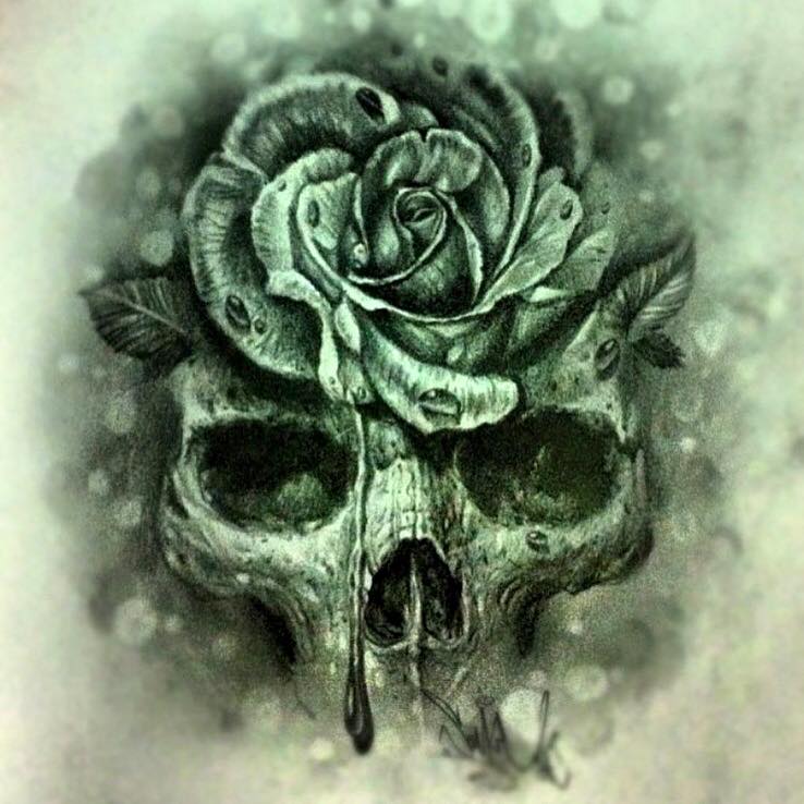 738x738 Saketattoo Crew, Author