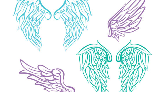 570x320 Realistic Angel Wings Drawing Realistic Angel Wings Illustration