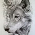 150x150 Drawing Realistic Animals Best 25 Animal Drawings Ideas