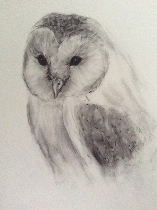 320x428 Snowy Owl Circa 10w