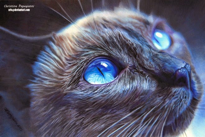 659x441 Fine Art And You Beautiful Realistic Cat Drawings To Inspire