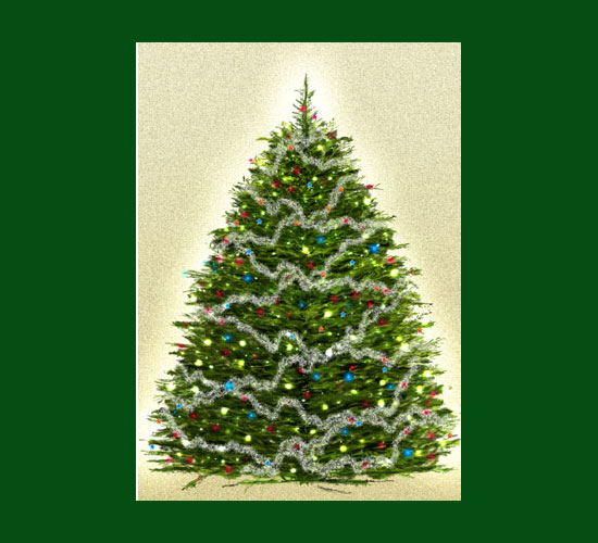 550x500 Pictures Christmas Tree Drawing Realistic,