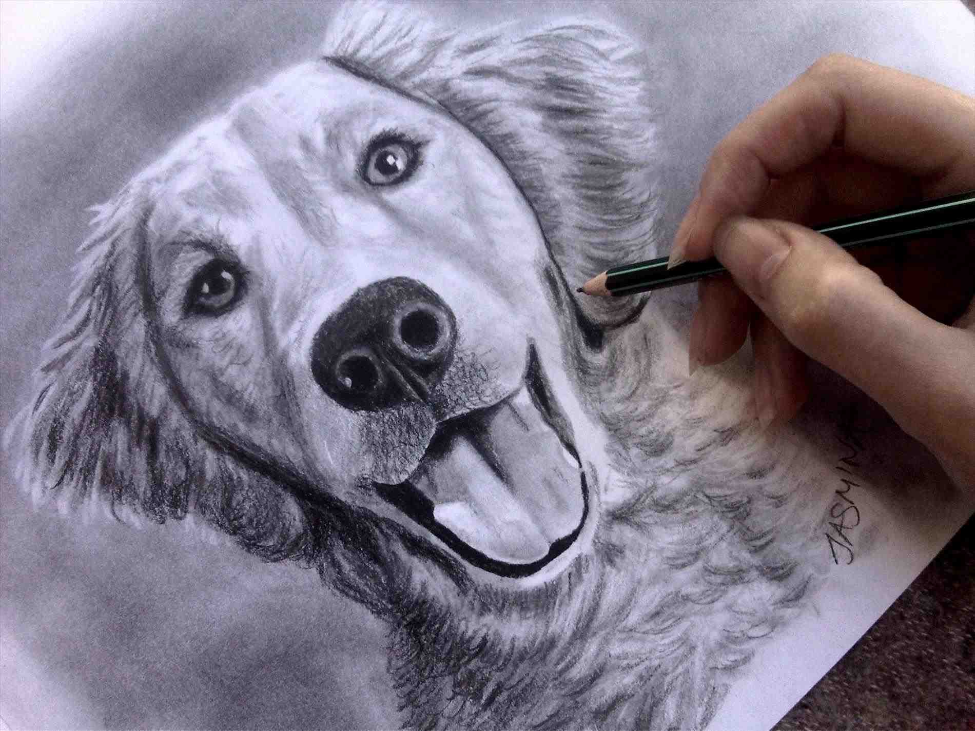 Realistic Dog Drawing at GetDrawings | Free download