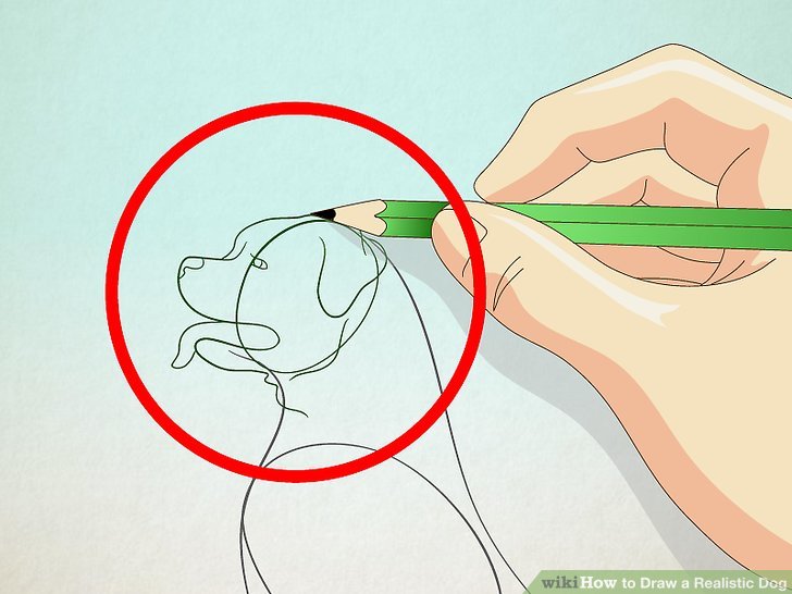 728x546 How To Draw A Realistic Dog 5 Steps (With Pictures)