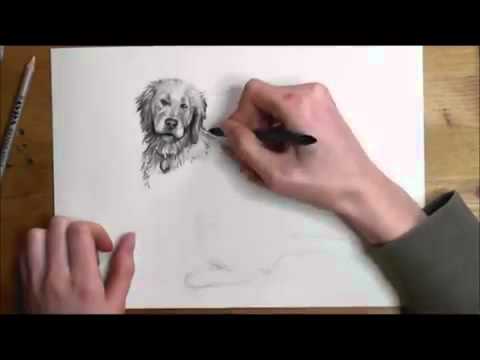 480x360 How To Draw A Realistic Dog Step By Step