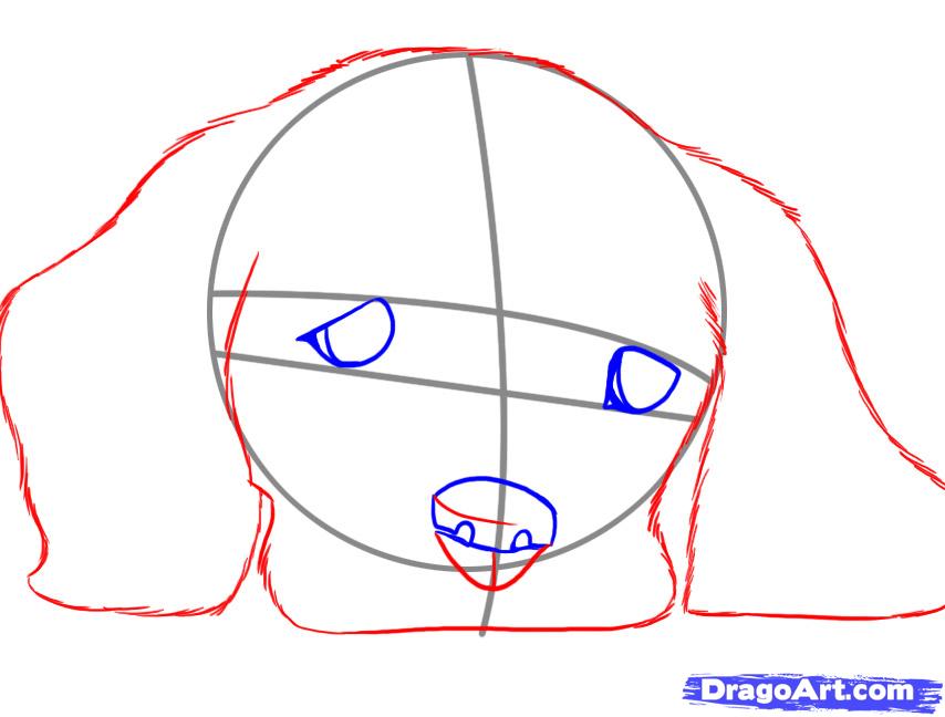 854x648 How To Draw A Realistic Dog Step 11 Drawings (