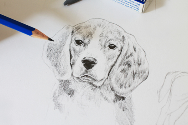 Realistic Dogs Drawing at GetDrawings | Free download